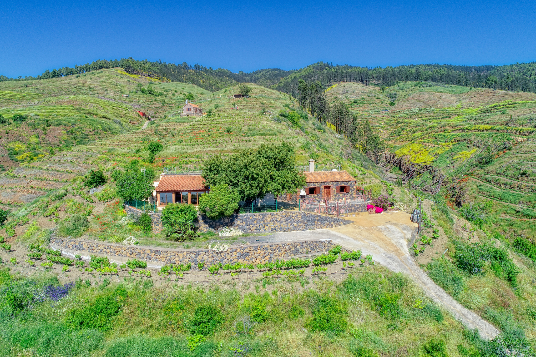 Ferienhaus Casa El Algarrobo in Puntagorda auf La Palma