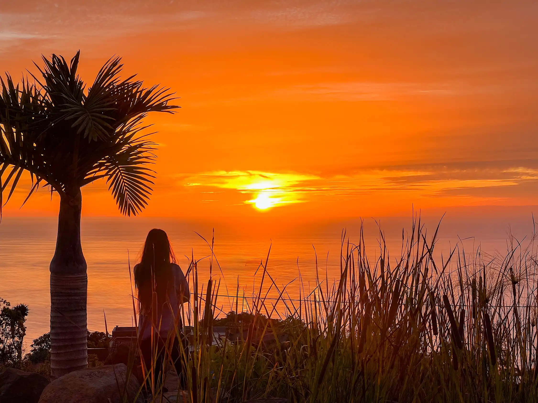 Top 7 vakantiehuizen met spectaculair zeezicht op La Palma