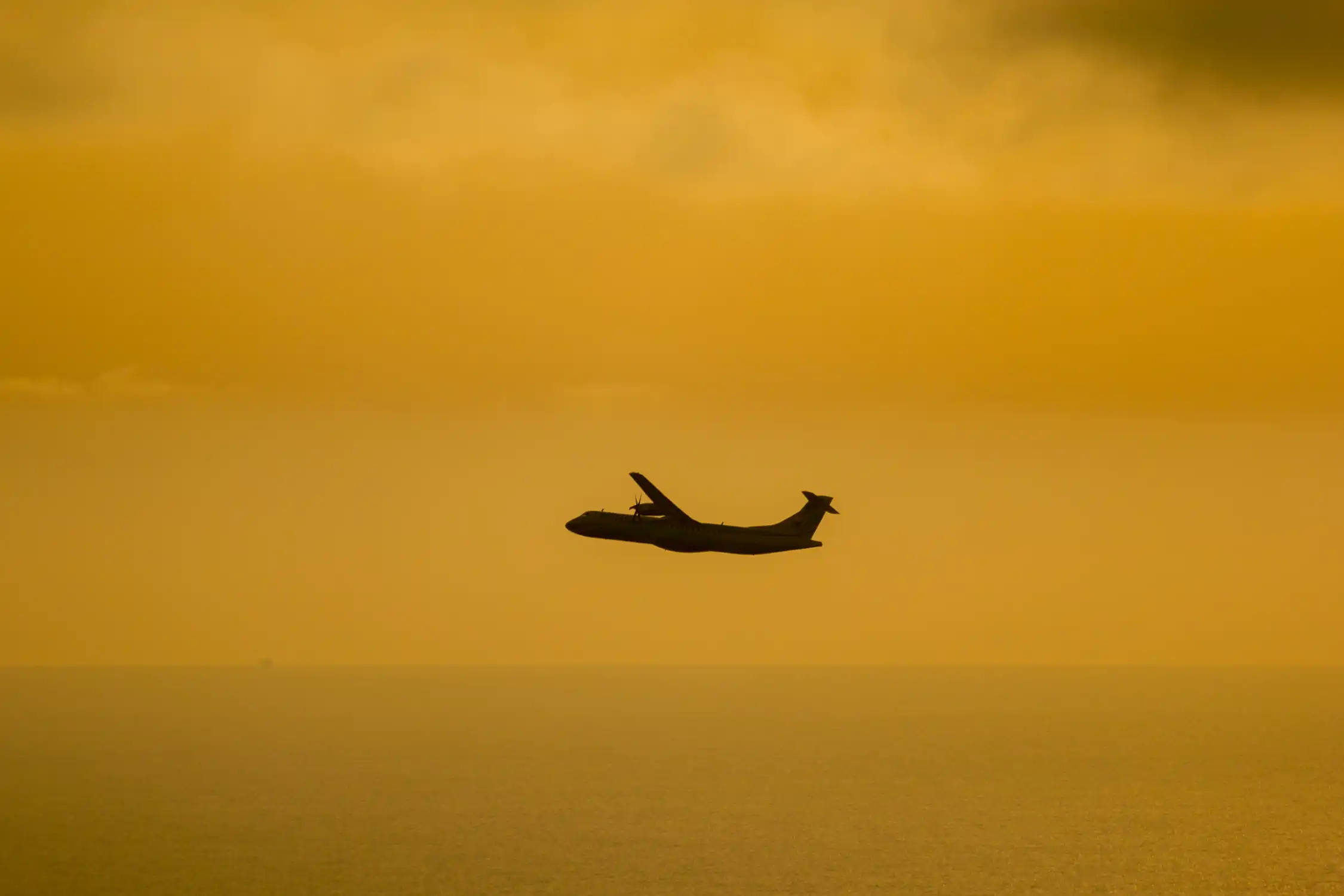 Vluchten zomer 2026 naar La Palma – Beste routes & reistips