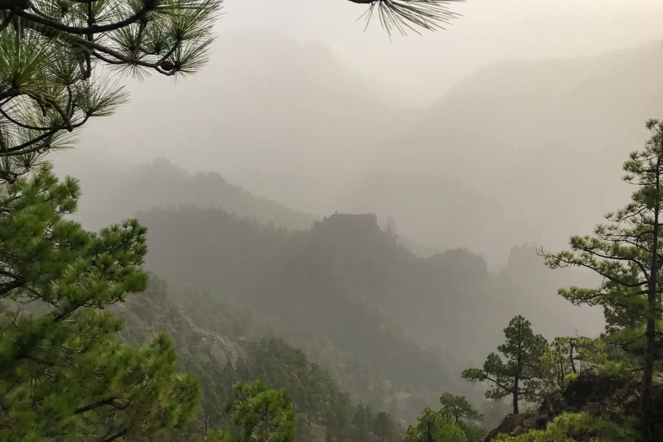 Calima en La Palma – polvo del Sahara sobre las montañas de la isla