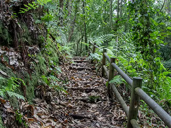 La Palma octubre 2025 – Oktoberfest, Full Moon Trail, Mercados & Consejos