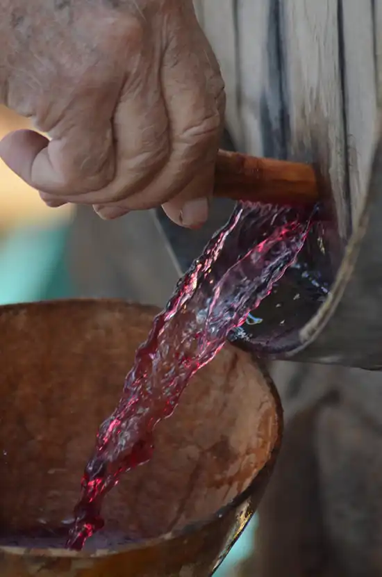 Fiesta de San Martín La Palma 2025 – Vin, châtaignes et nouveau vin