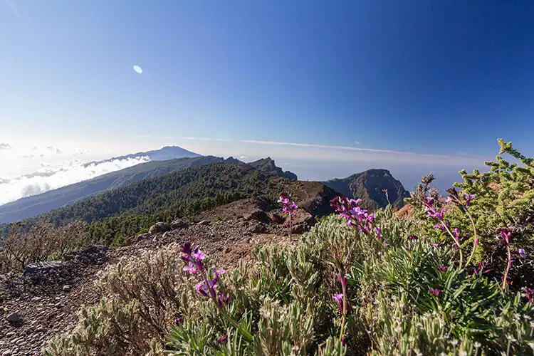 Pico de la Nieve – Ruta sobre las nubes
