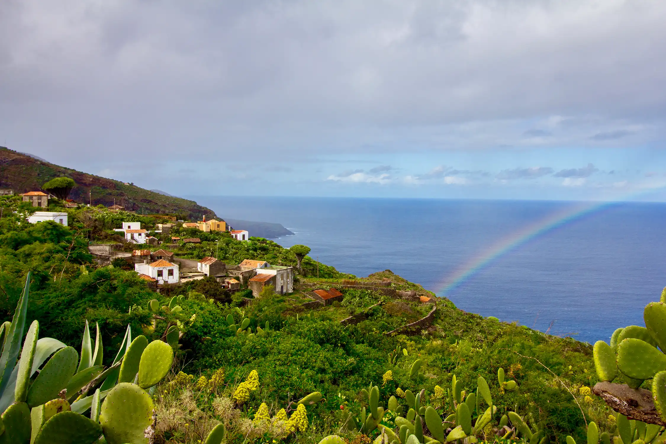 La Palma en enero – eventos, clima, astronomía e información actual de viaje 2026