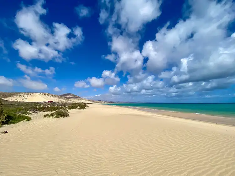 Combinar La Palma y Fuerteventura: senderismo, vacaciones de playa y turismo entre islas en Canarias