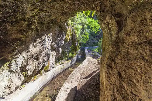La Palma en période de calima – Refuges frais et sentiers ombragés