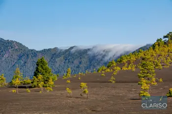 El Paso - La Palma
