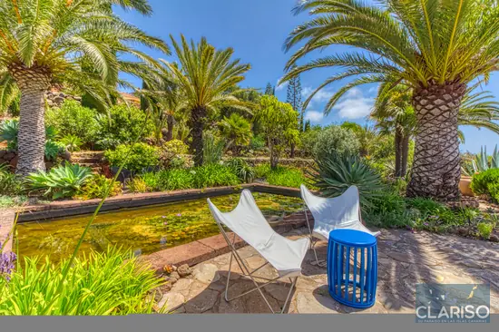 Zona de descanso junto al estanque de nenúfares en el jardín tropical de la Villa Botanico – disfrutar de La Palma