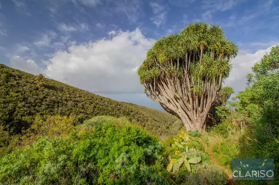 Ein charmantes Dorf auf La Palma