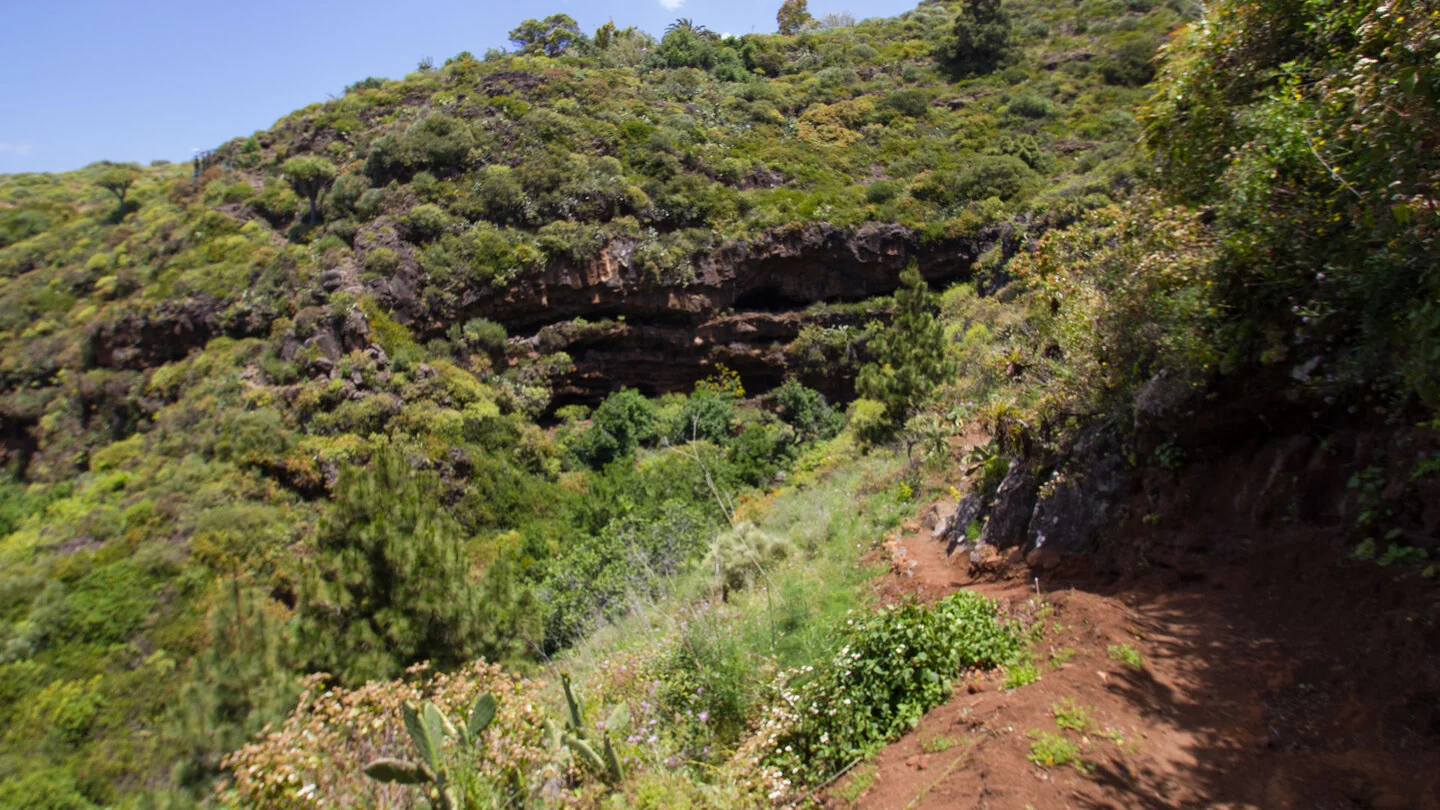 Rundwanderung zu den Cuevas de Buracas bei Las Tricias – 3
