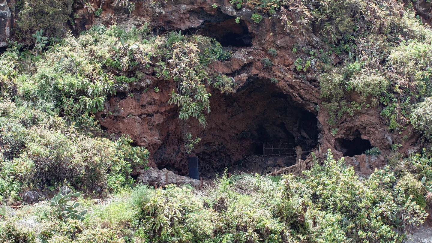 Rundwanderung zu den Cuevas de Buracas bei Las Tricias – 4