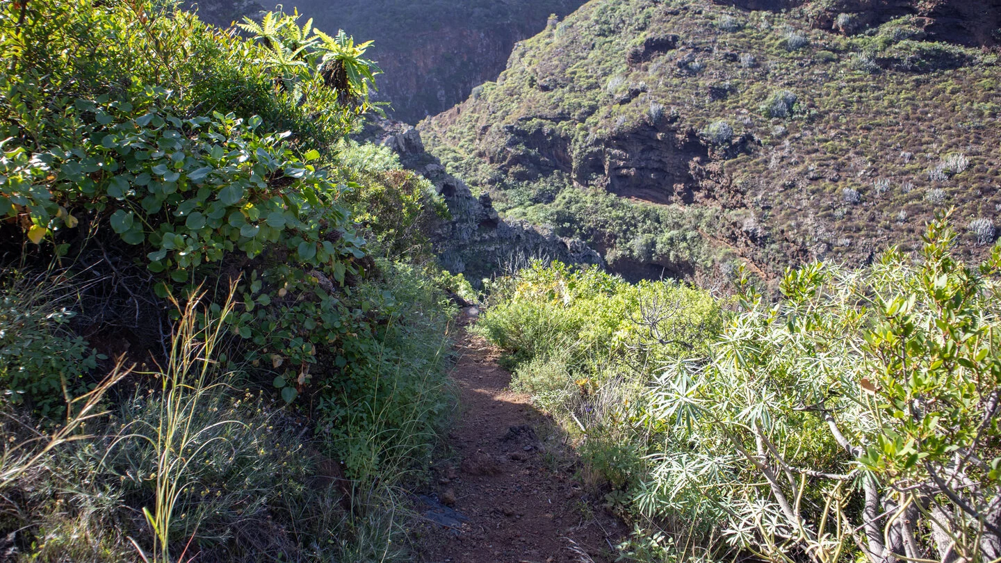 Coastal Hike from El Tablado to Gallegos – 4