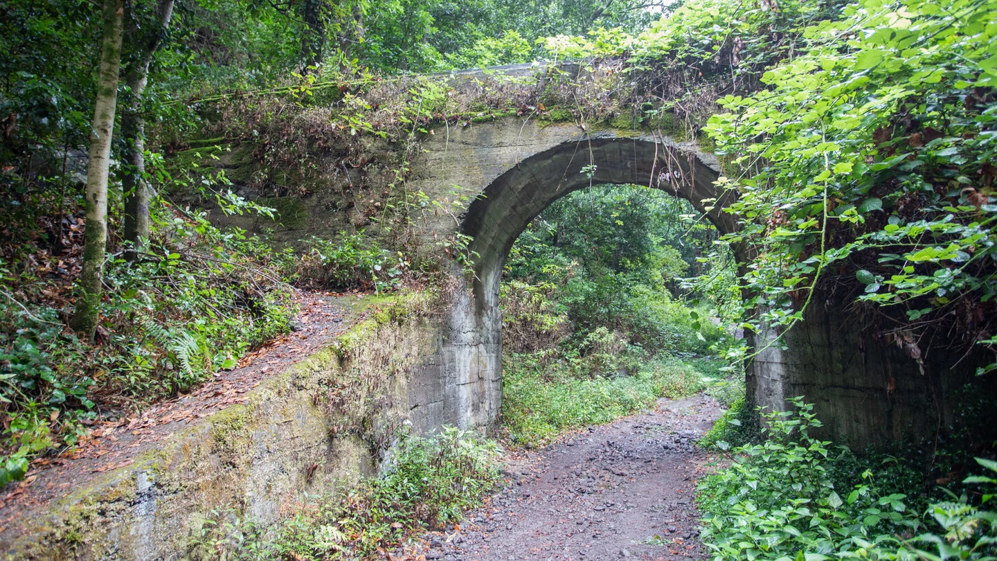 Rundwanderung durch den Cubo de La Galga, Puntallana, La Palma