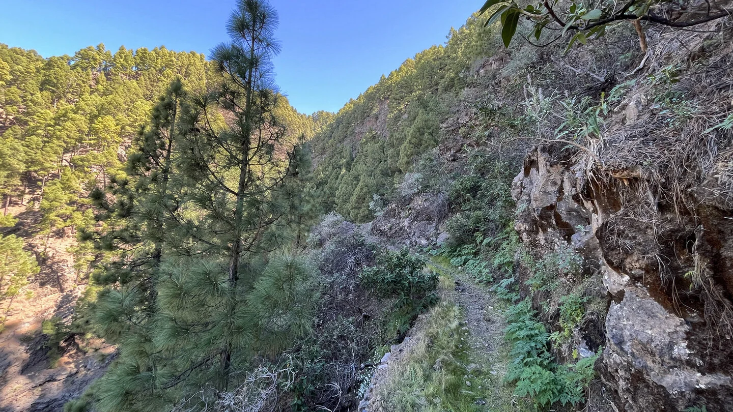 Rondwandeling door de kloven rond Barranco de Jieque – 4