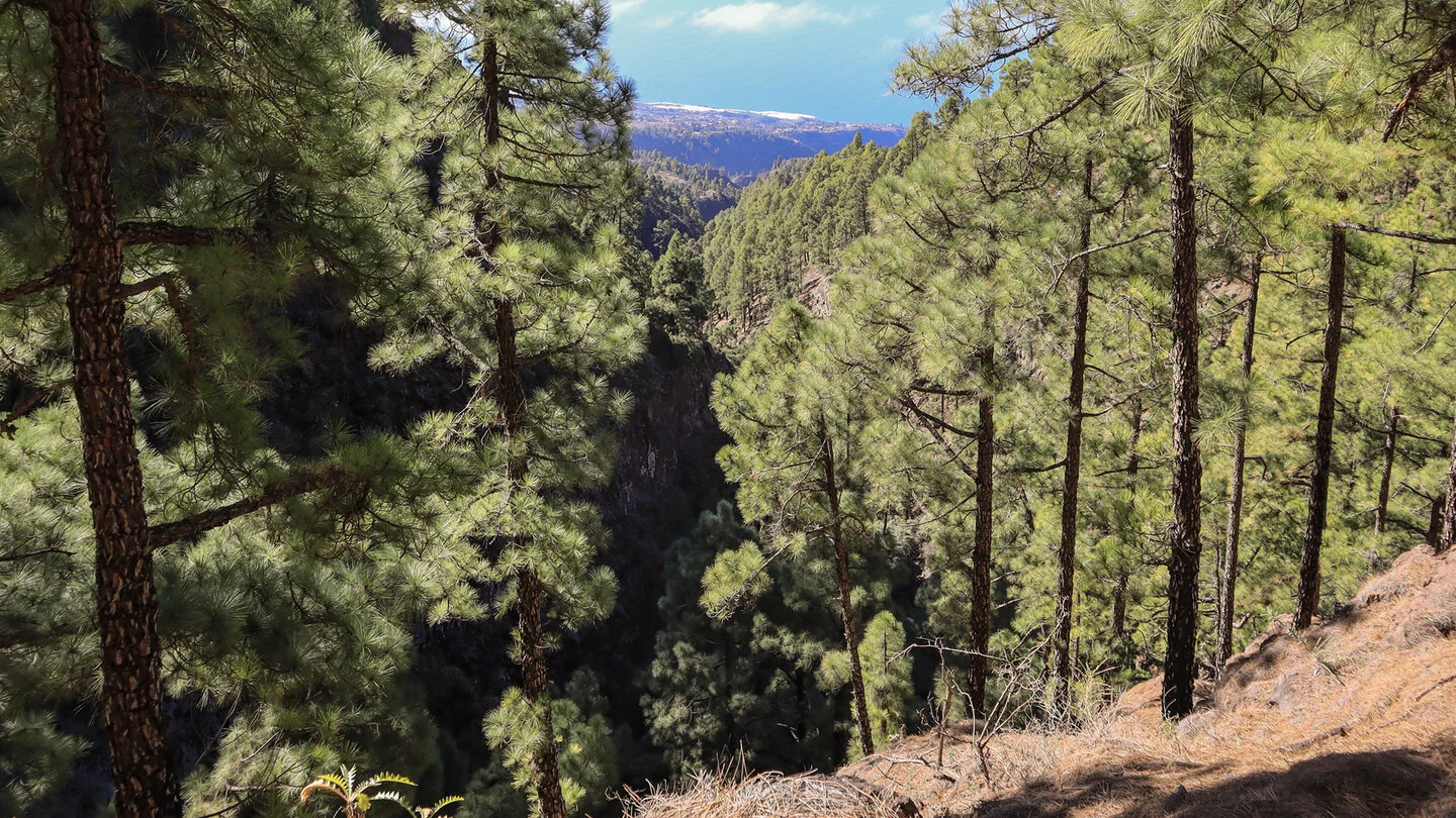 Rondwandeling door de kloven rond Barranco de Jieque – 5