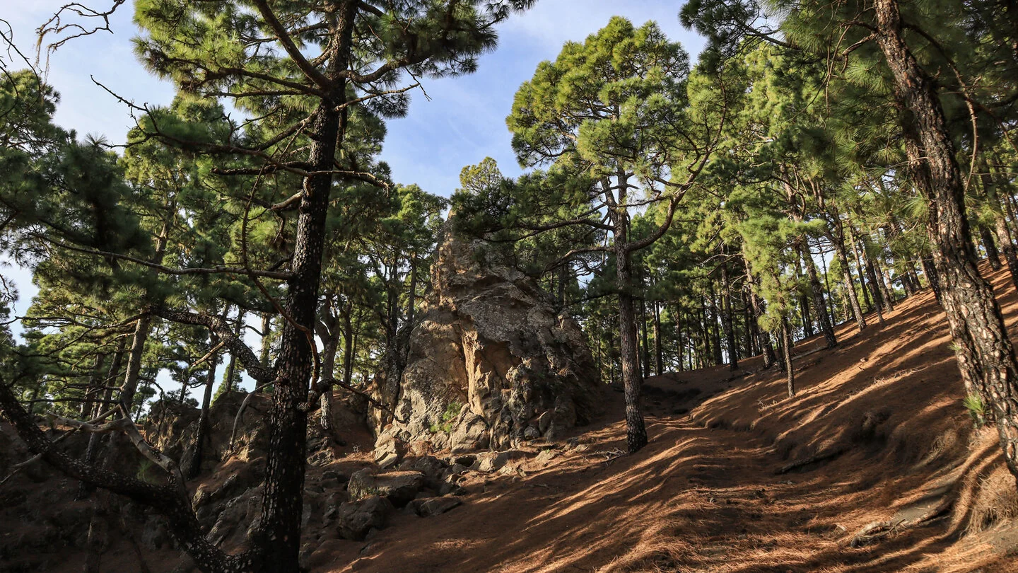 Rondwandeling van Fuente de los Roques naar Volcán Martín – 4