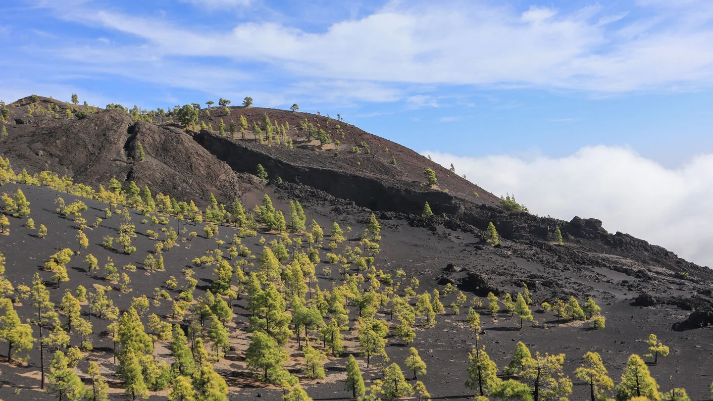 Rondwandeling van Fuente de los Roques naar Volcán Martín – 5