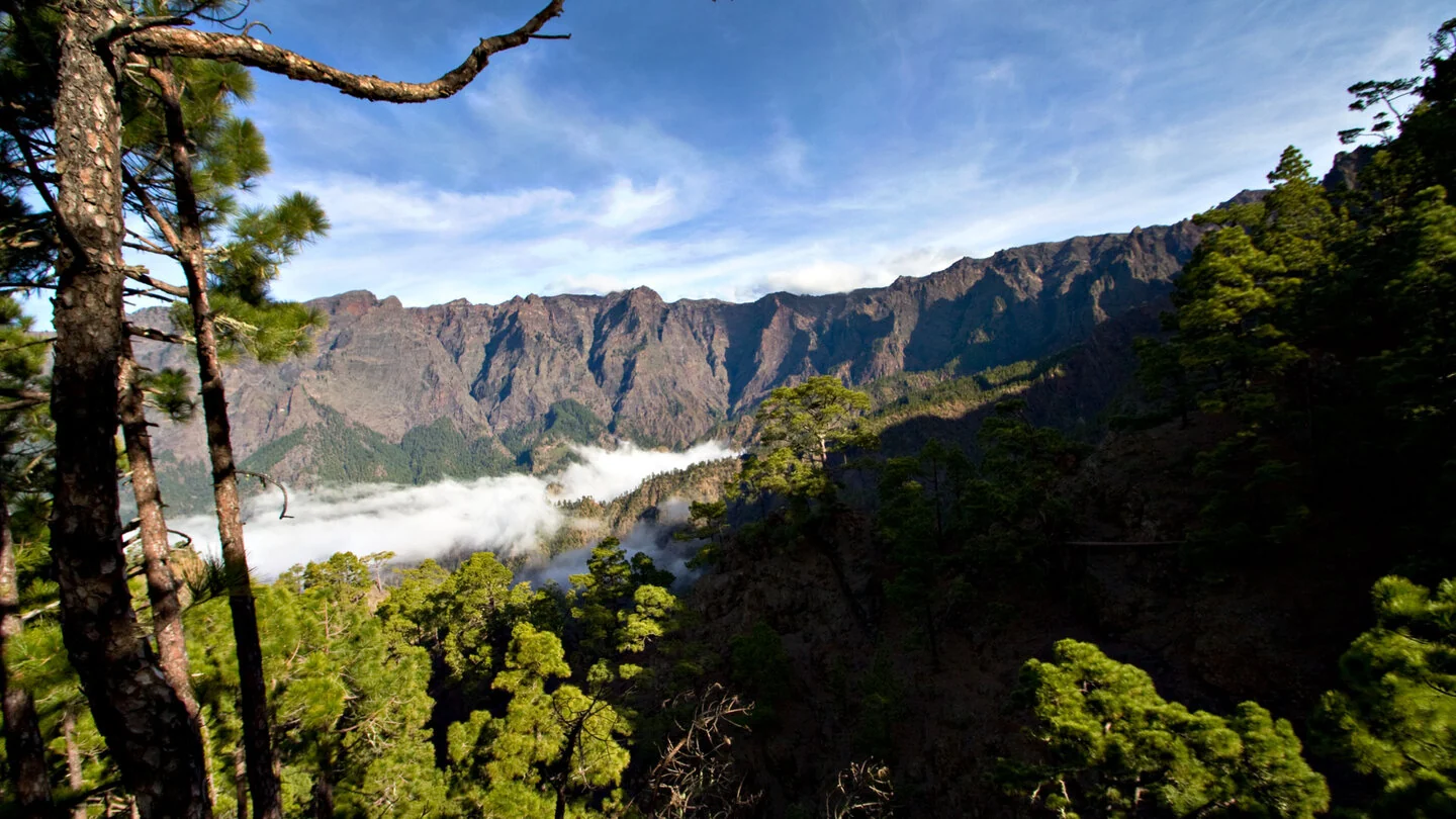 Camino de Gordian van Virgen del Pino naar La Cumbrecita, El Paso, La Palma