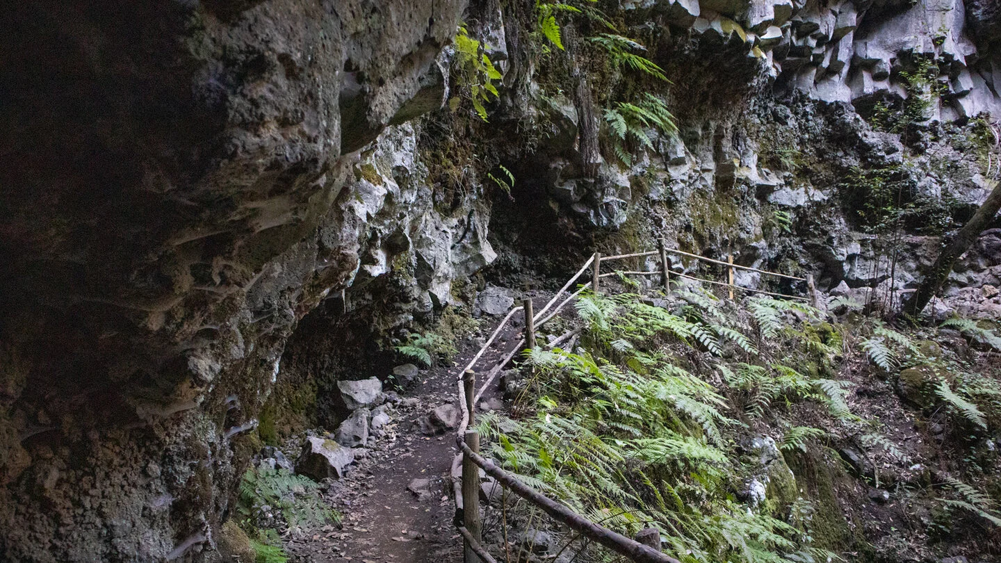 Rondwandeling van La Zarza via Don Pedro, Garafía, La Palma