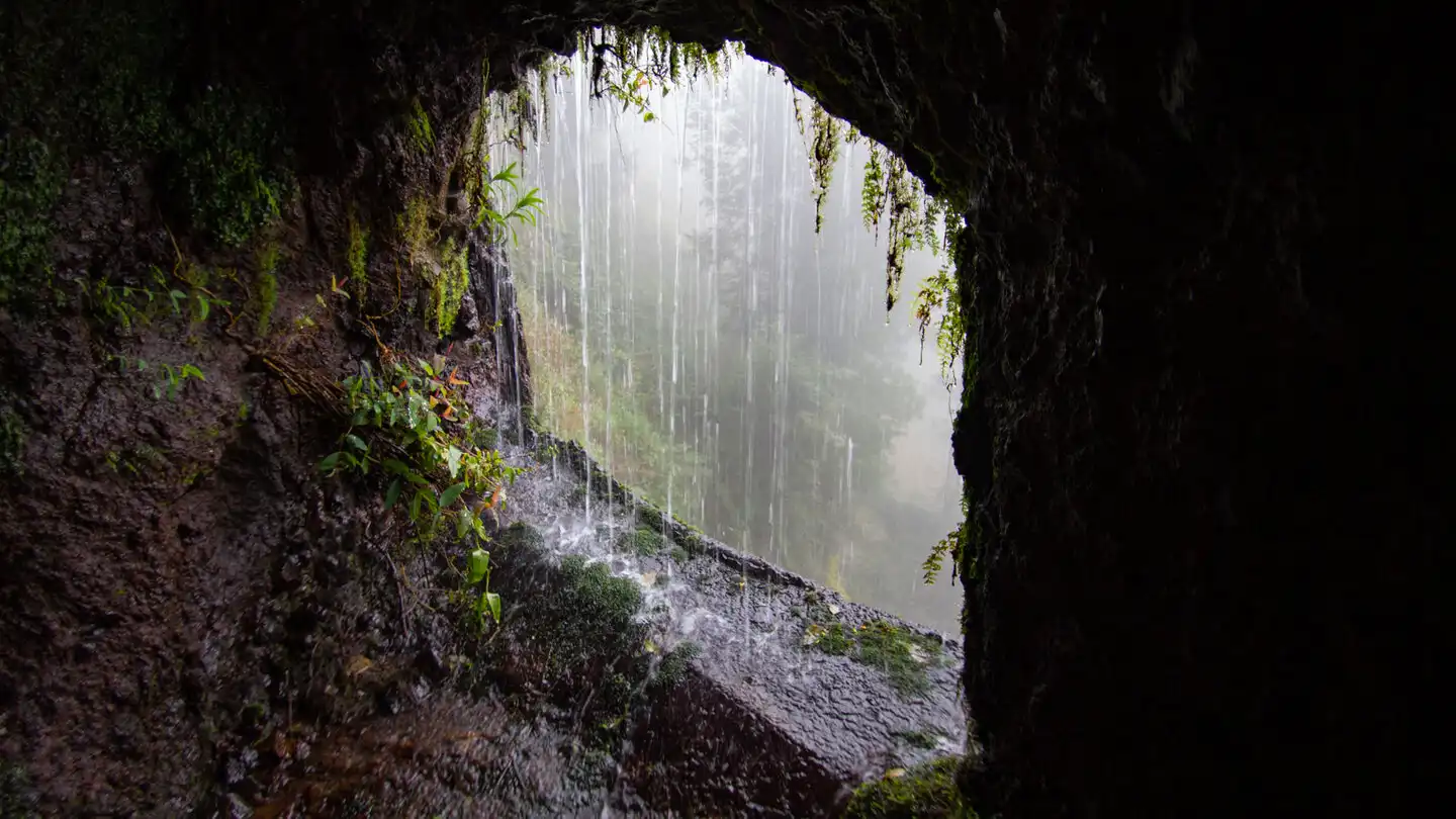 Tunnelwanderung zu den Quellen von Marcos y Cordero nach Los Tilos, San Andrés y Sauces, La Palma