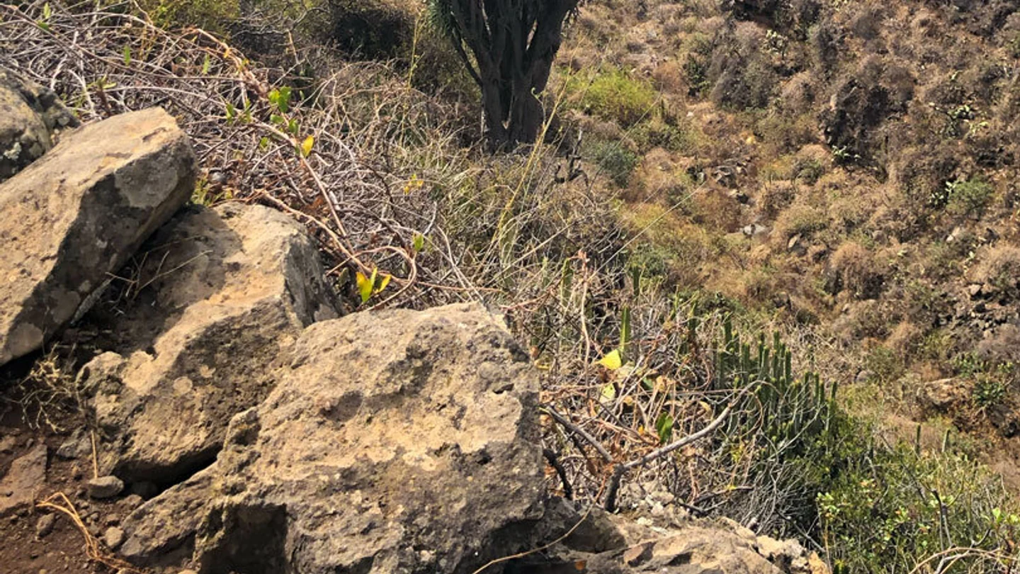Küstenwanderung von El Tablado nach Santo Domingo de Garafía – 4