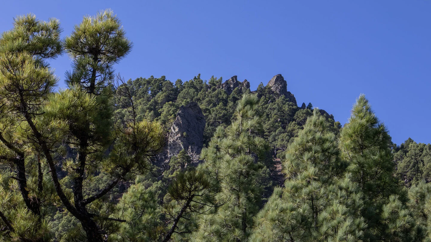 From Llano de las Moscas to Pico Nambroque – 3