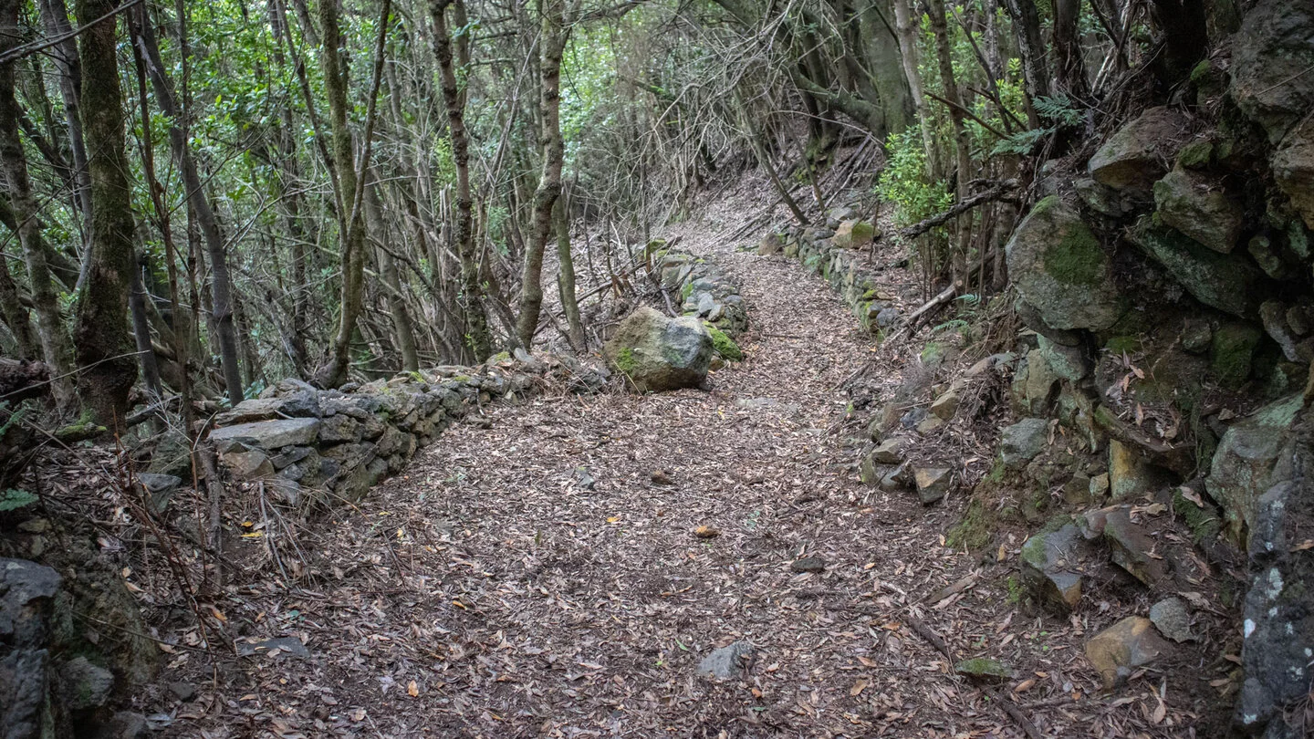 PR LP 7 van Pico de la Cruz naar Los Sauces – 3