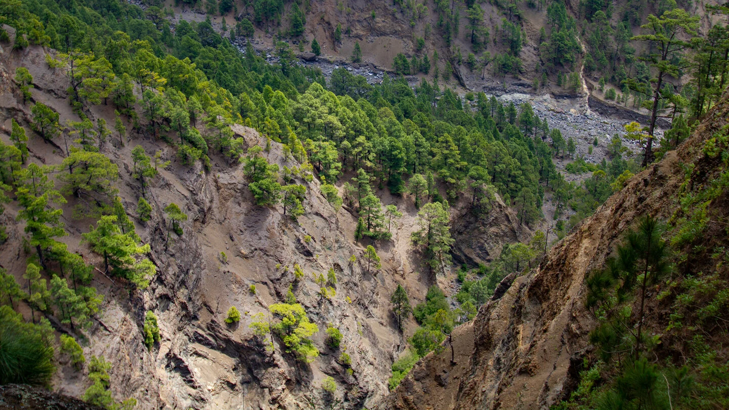 From Playa de Taburiente to Cascada de la Fondada and Hoyo Verde – 2