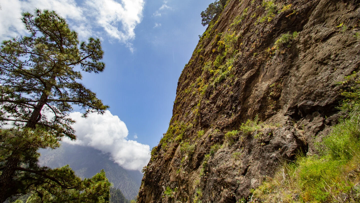 From Playa de Taburiente to Cascada de la Fondada and Hoyo Verde – 5
