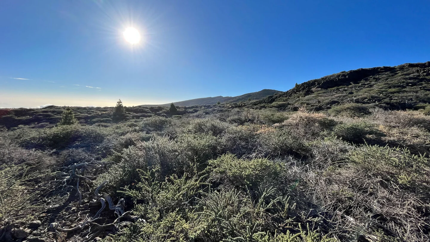 PR LP 8 from Pico de la Cruz to Barlovento – 2