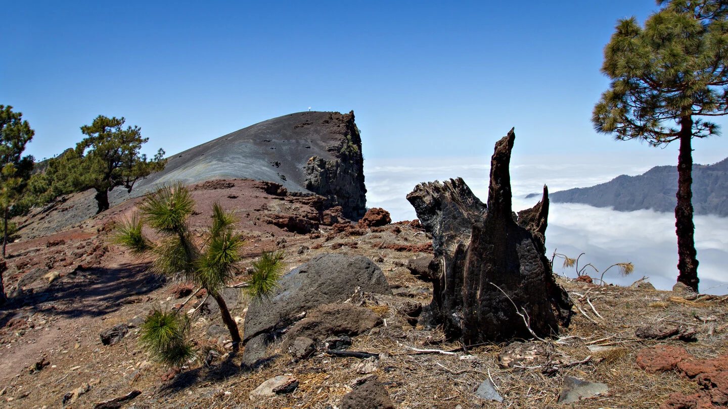 Von der Pista Pico de la Nieve zur Ermita Virgen del Pino, El Paso, La Palma