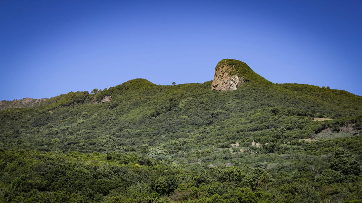 GR-130 Etappe 8: Van Villa de Mazo naar Santa Cruz, Villa de Mazo, La Palma