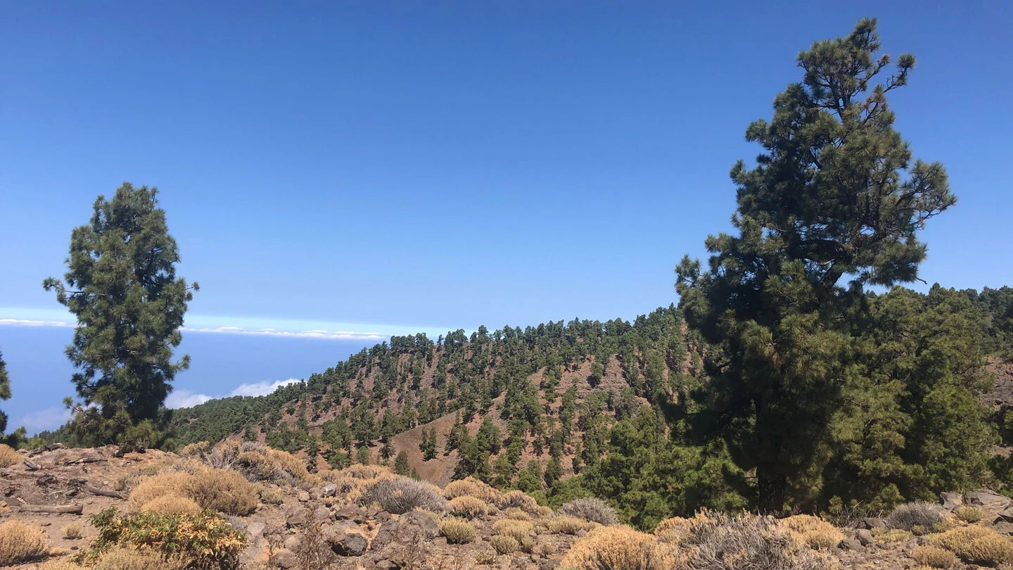 PR LP 11: From Roque de los Muchachos to Puntagorda – 3