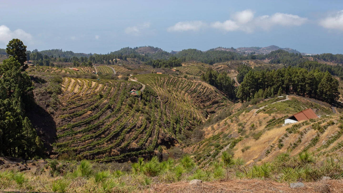 PR LP 11: From Roque de los Muchachos to Puntagorda – 4