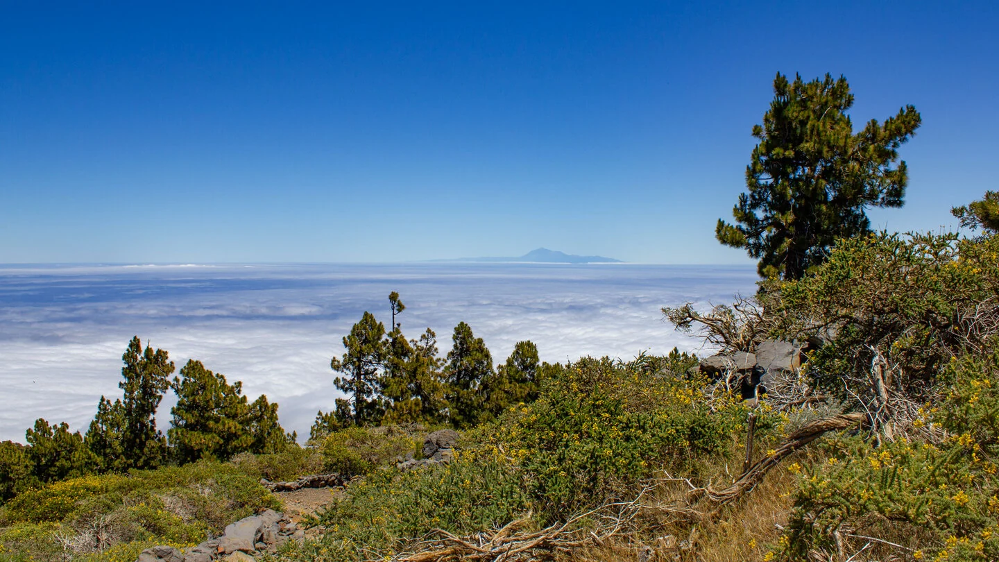 PR LP 3: Vom Pico de la Nieve nach Santa Cruz de La Palma – 2