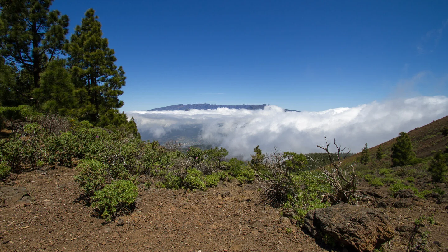 Circular hike from Refugio El Pilar to Pico Birigoyo – 4