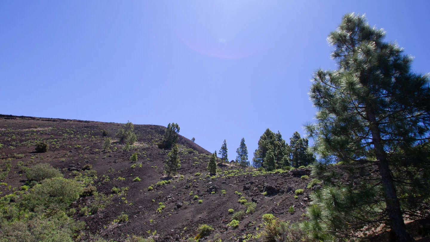 Circular hike from Refugio El Pilar to Pico Birigoyo – 5