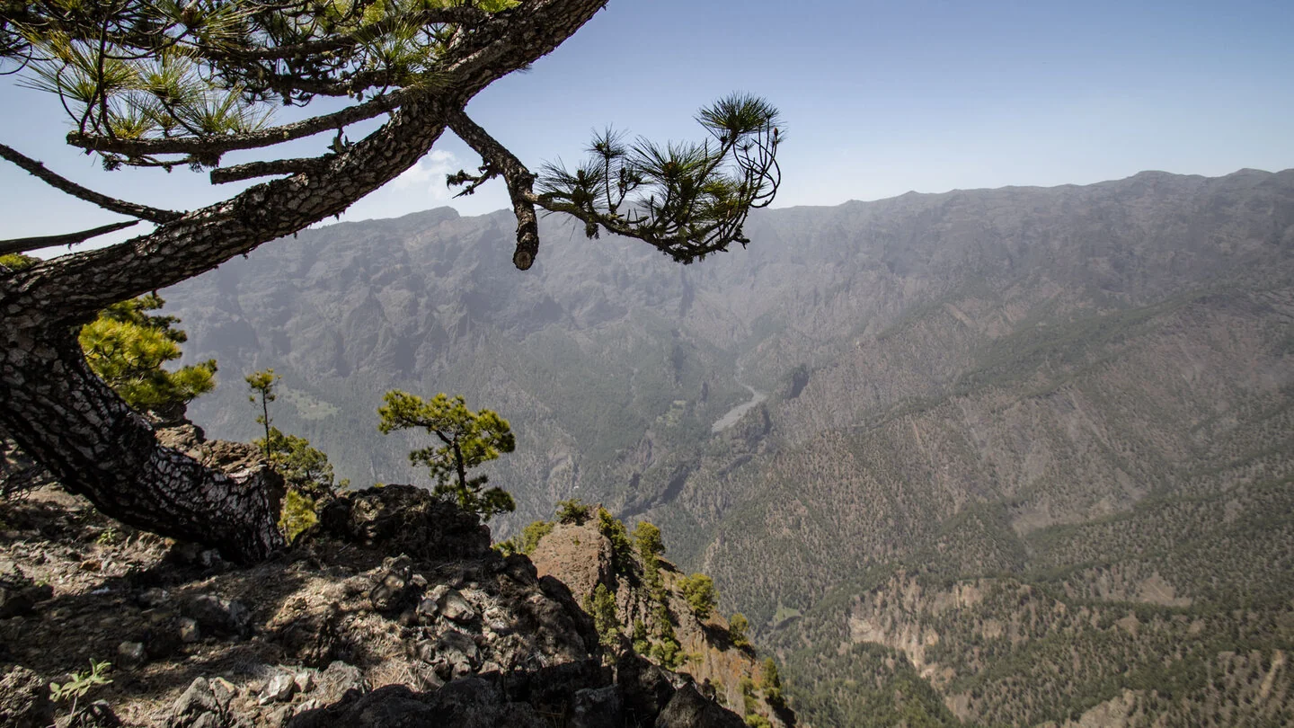 Rondwandeling over Pico Bejenado en Roque de los Cuervos – 4