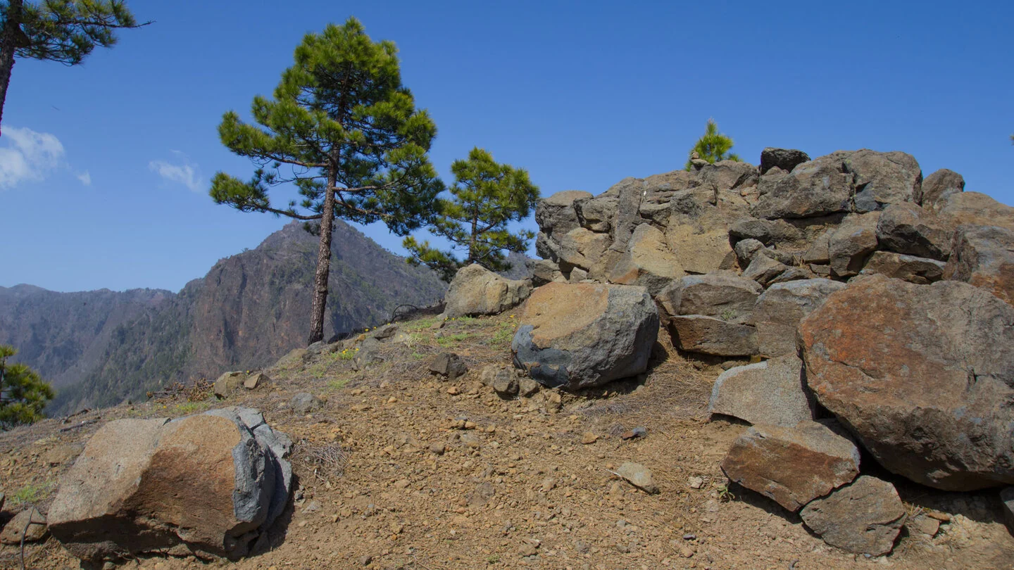 Rondwandeling over Pico Bejenado en Roque de los Cuervos – 5