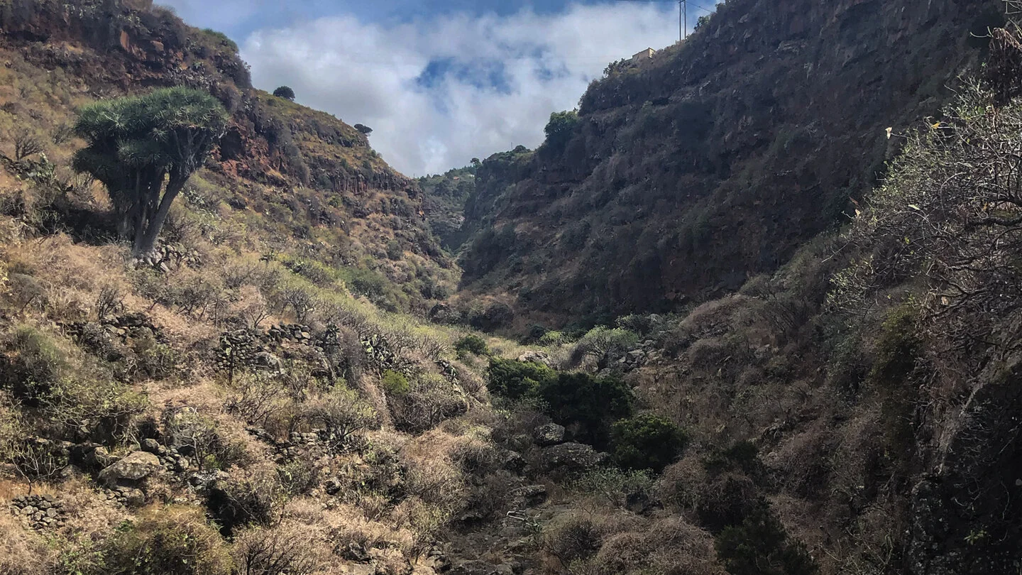 Rundwanderung von La Zarza durch die Caldera de Agua nach Garafía – 4