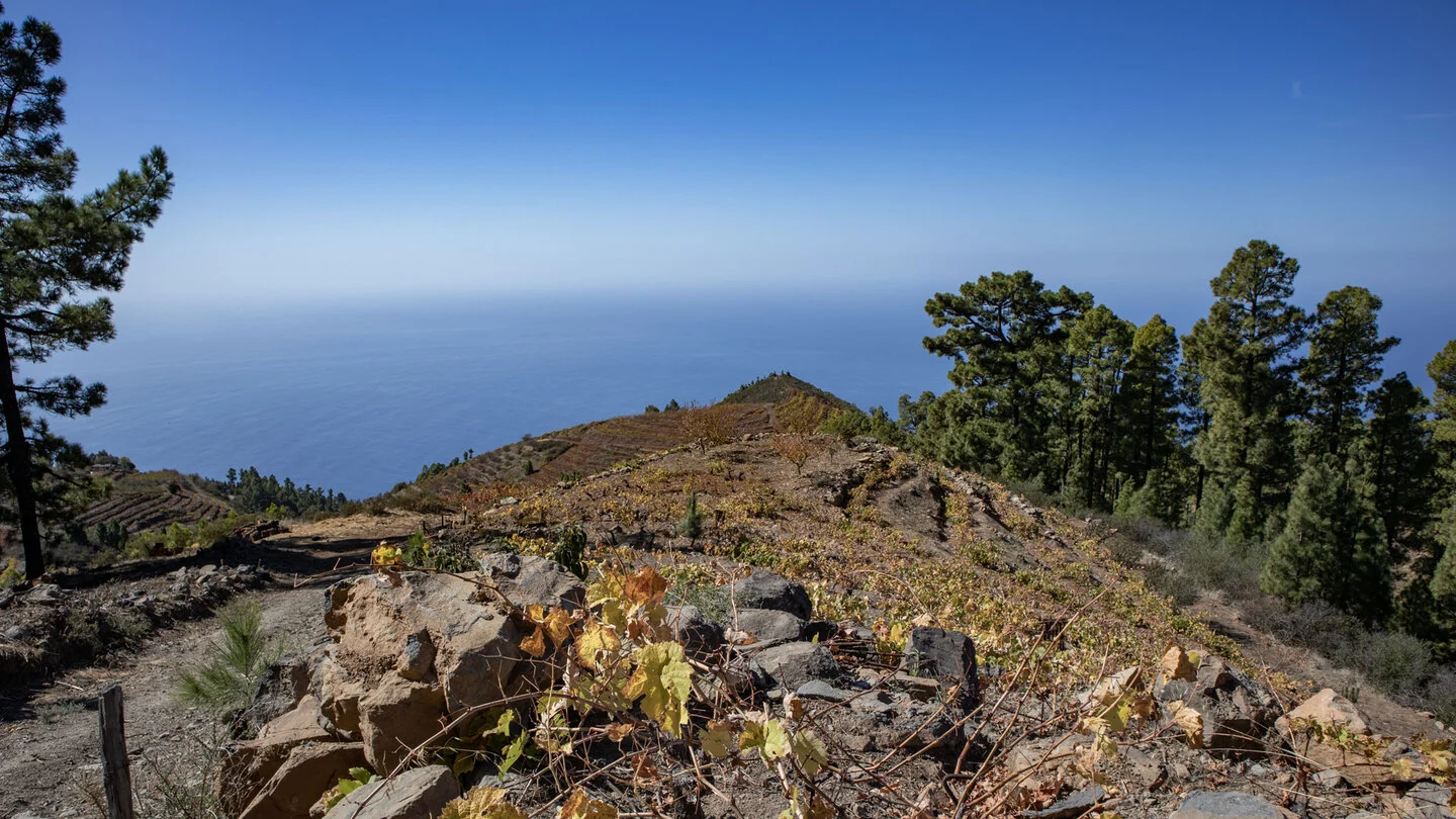 PR LP 12.1 : De Tinizara au Lomo de Las Piedras Altas, Tijarafe, La Palma