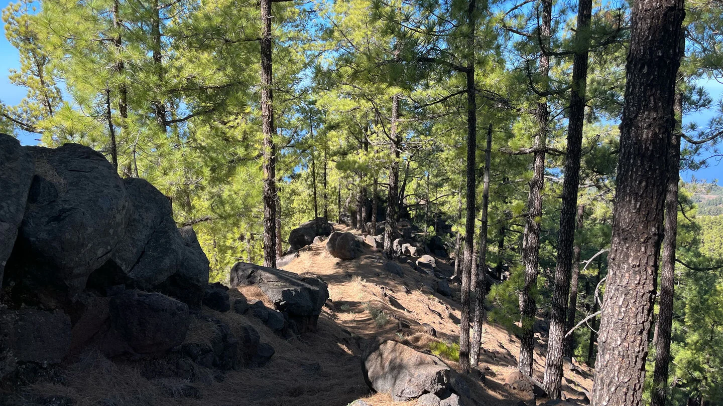 PR LP 12.1 : De Tinizara au Lomo de Las Piedras Altas – 4