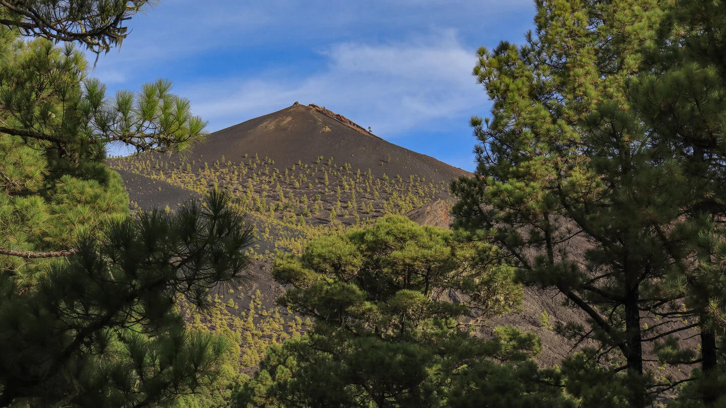 SL FU 111: Vom Volcán Martín zur Fuente de El Tión, Fuencaliente, La Palma