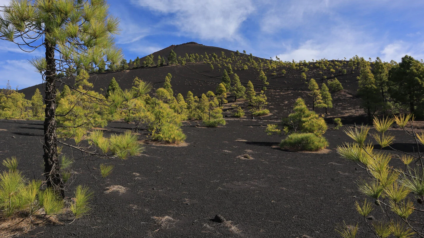 SL FU 110: Across Montaña de Los Faros – 3