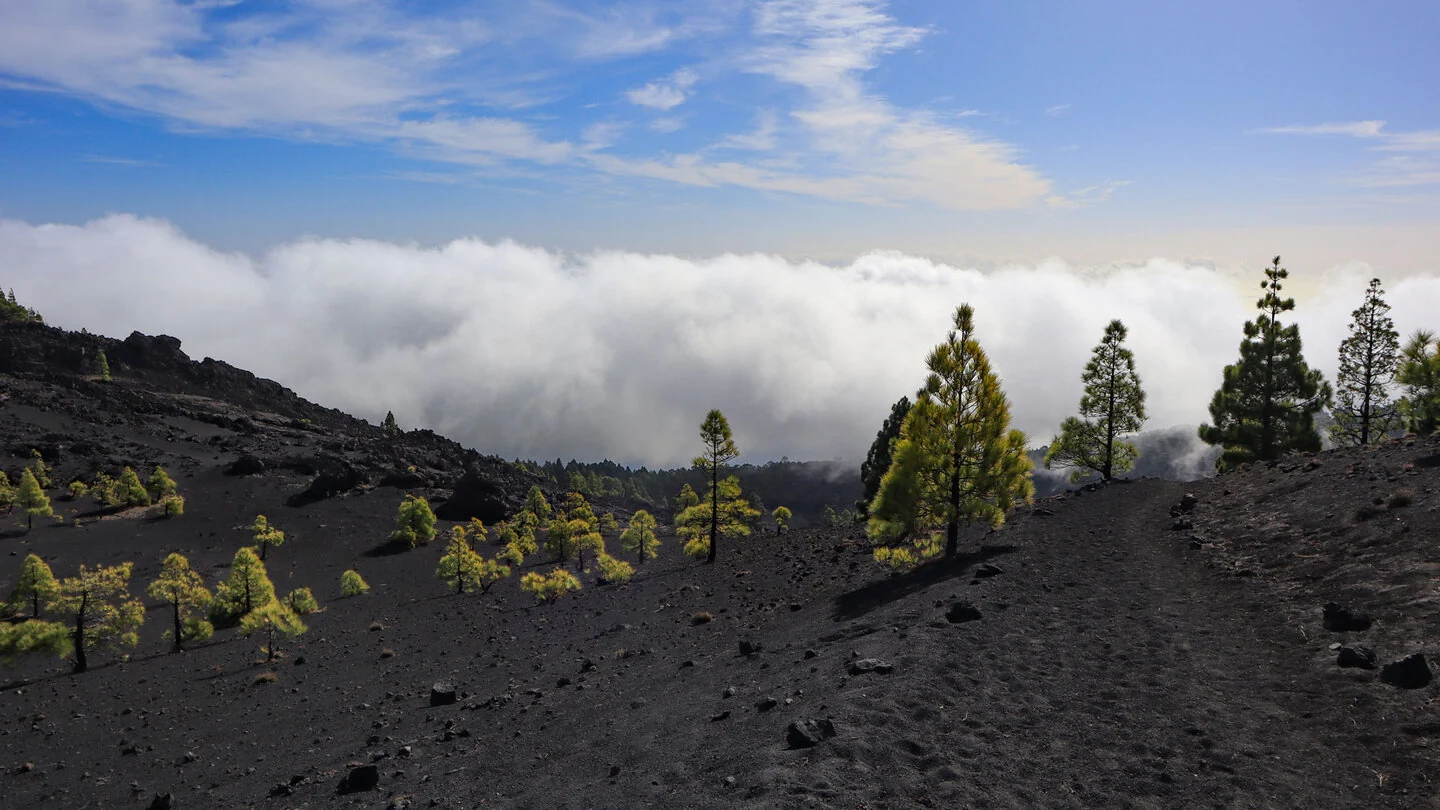 SL FU 110: Across Montaña de Los Faros – 5