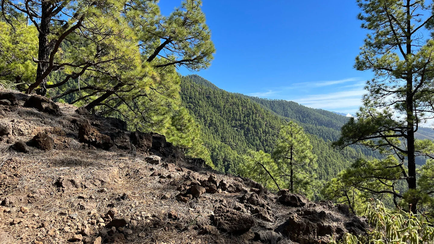 SL TJ 70 : Par le Barranco de Jieque vers Montaña Bermeja, Tijarafe, La Palma