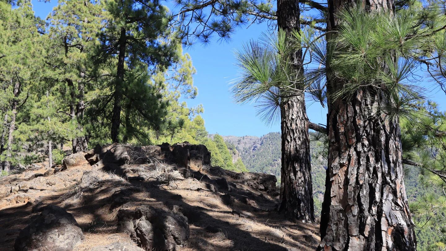 SL TJ 70 : Par le Barranco de Jieque vers Montaña Bermeja – 2