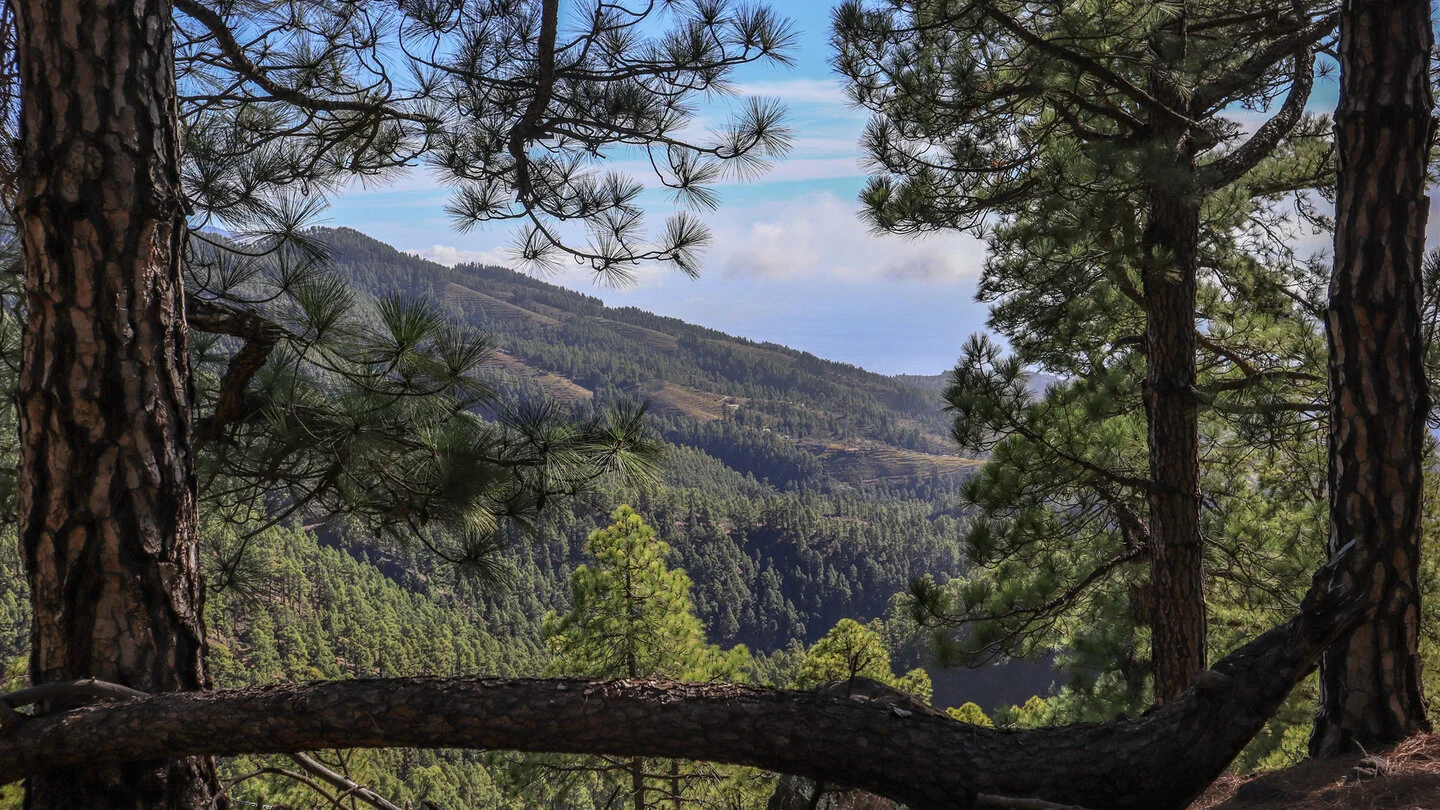 SL TJ 70 : Par le Barranco de Jieque vers Montaña Bermeja – 3