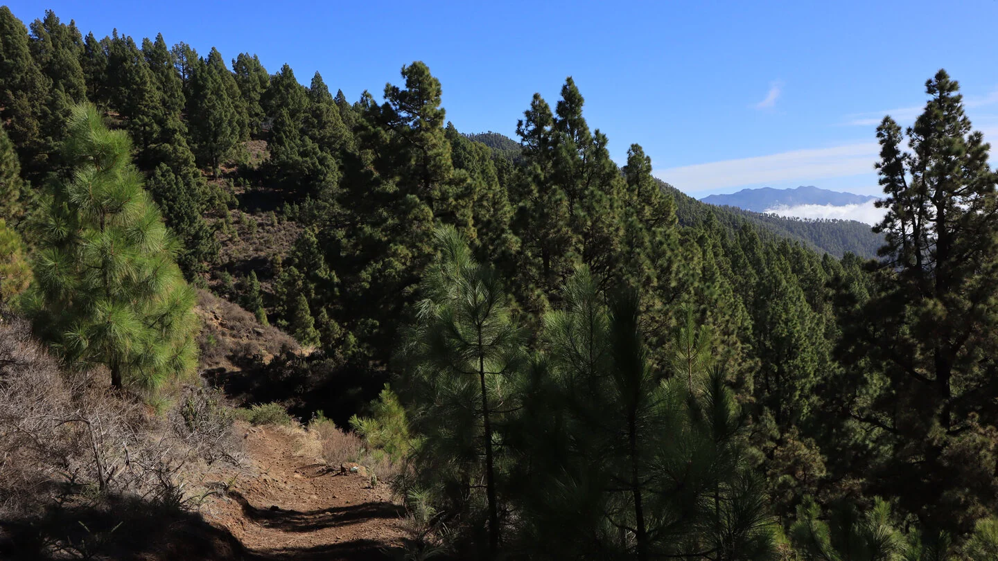 SL TJ 70 : Par le Barranco de Jieque vers Montaña Bermeja – 5