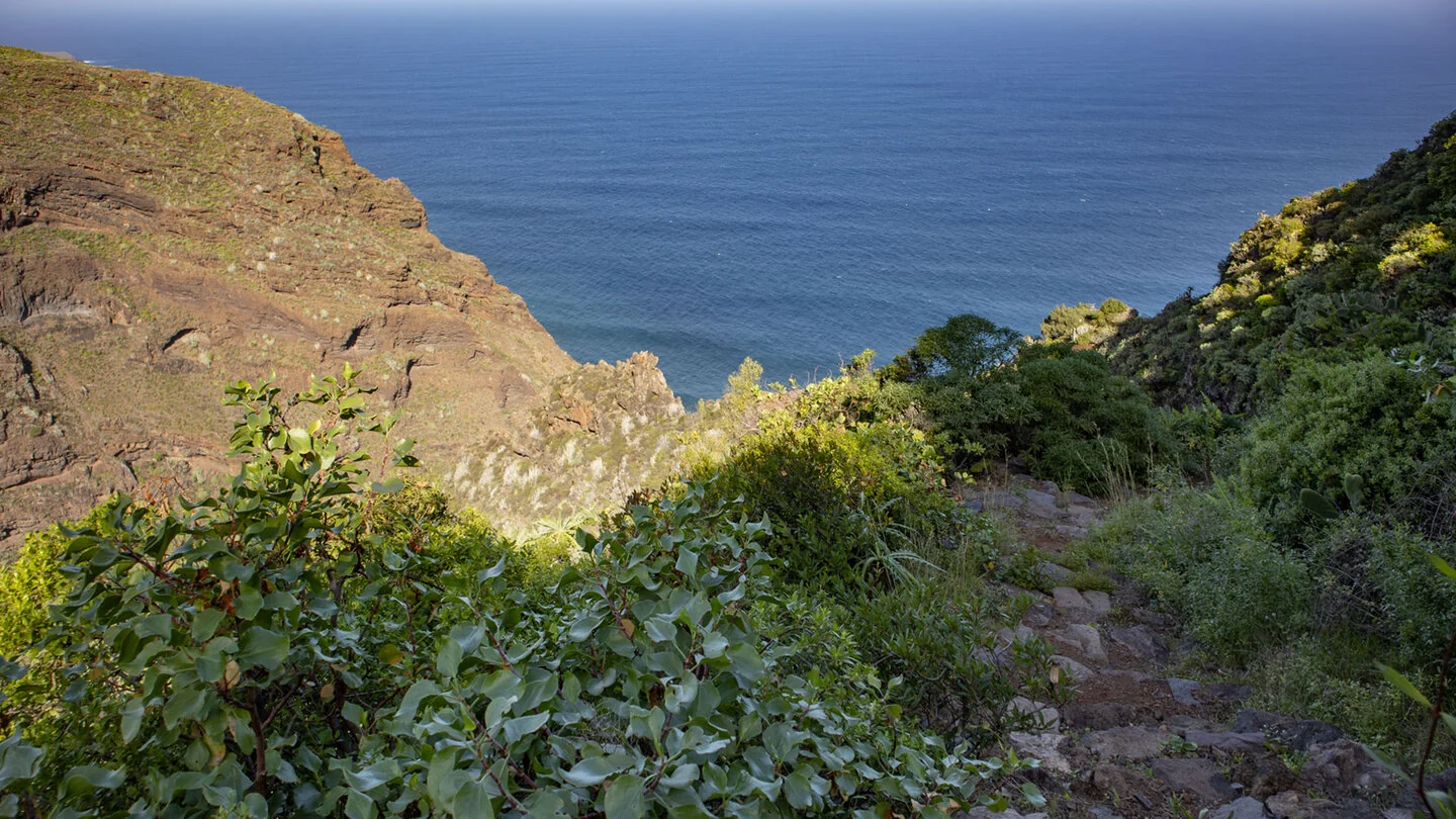 PR LP 9.1: Rondwandeling vanuit Roque del Faro – 4